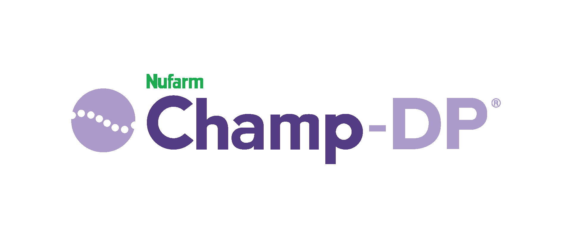 Champ-DP