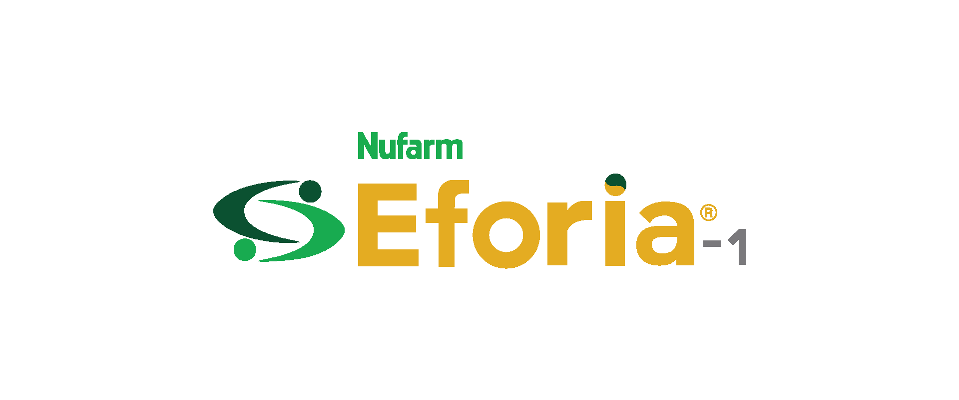 Eforia-1