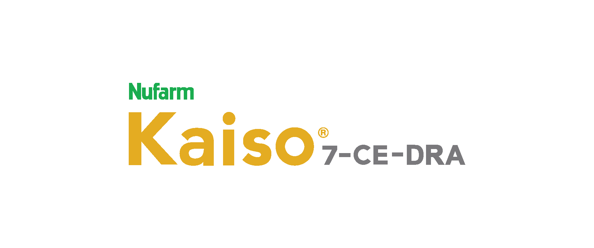 Kaiso-7-CE-DRA