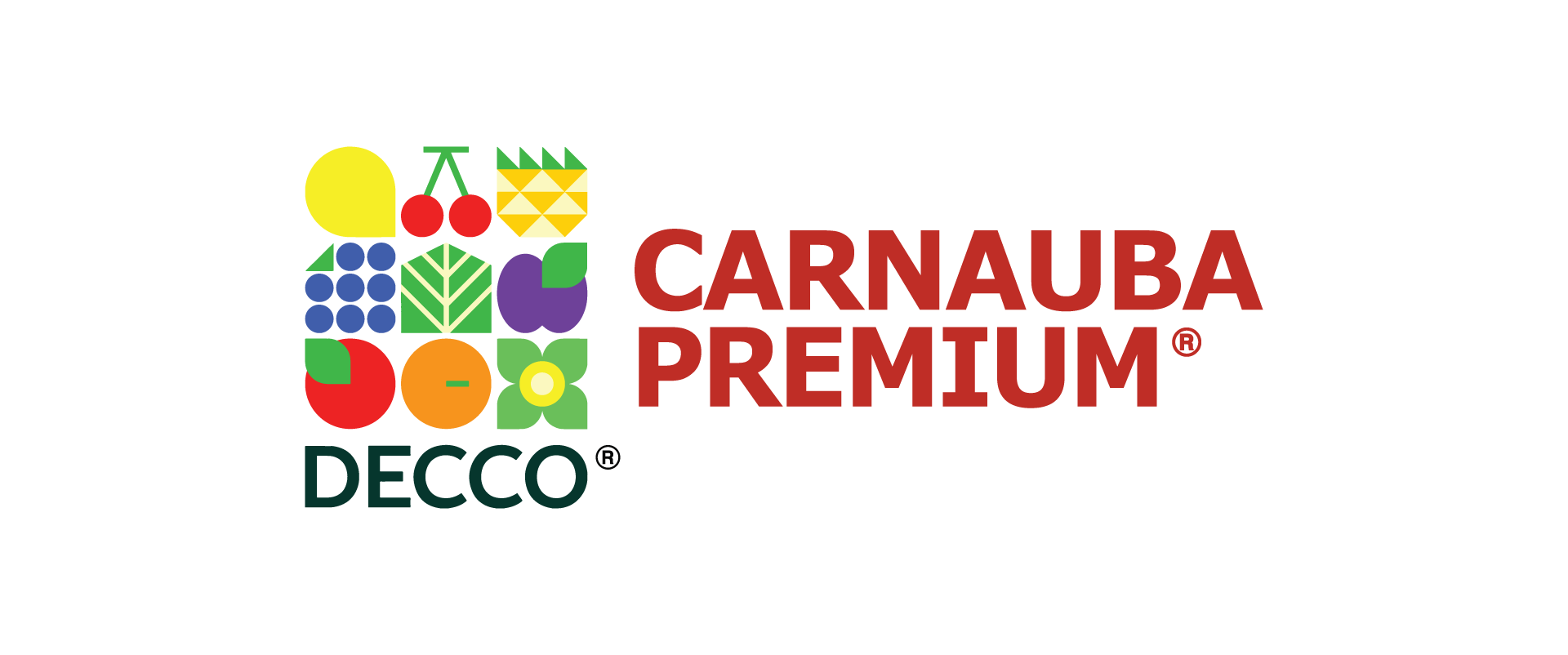 Carnauba Premium